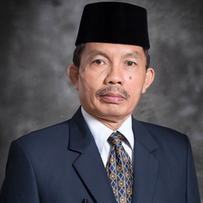 Prof. Ir. Widodo, MCSE., Ph.D.